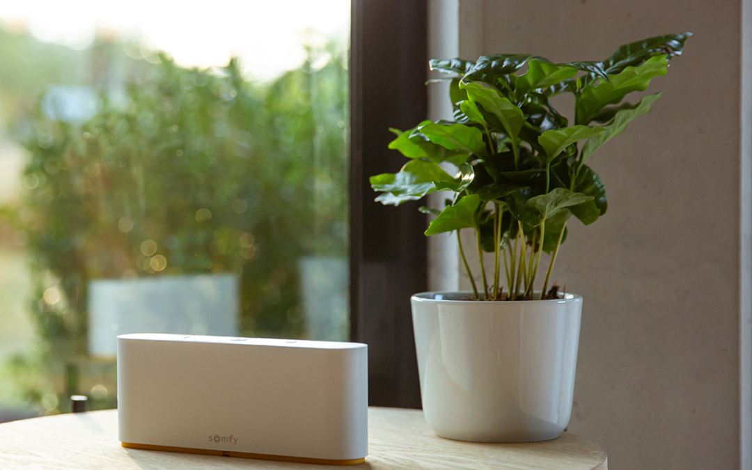 TaHoma Switch de Somfy La Commande Intelligente au Service de Votre Confort
